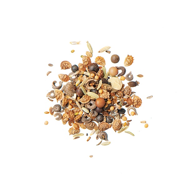 Testudo Frø mix - Billede 2