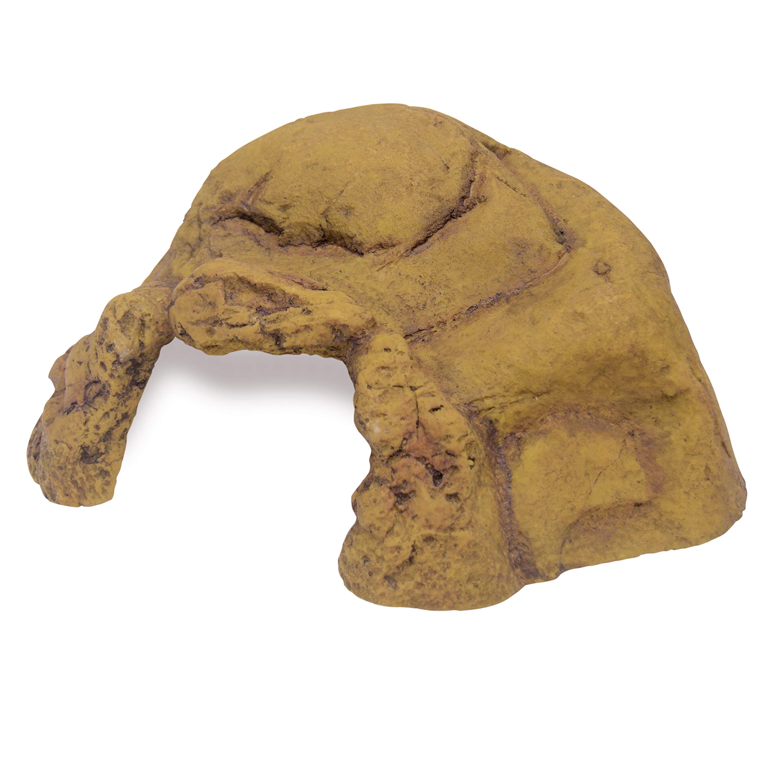 Exo Terra Reptile cave xxlarge