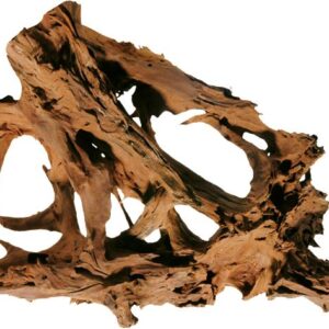 Mangrove rødder 25-35cm