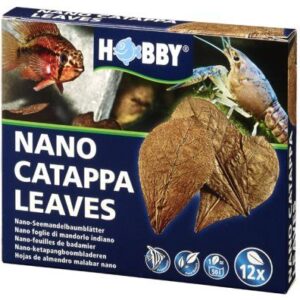 Hobby Nano Catappa Leaves Brun