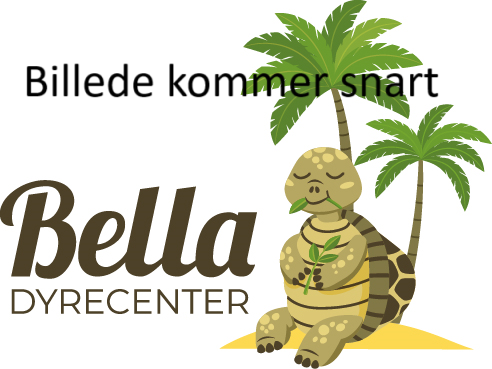 Bella dyrecenter